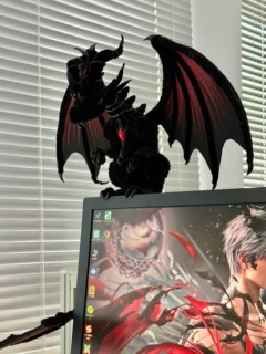 Customer photo